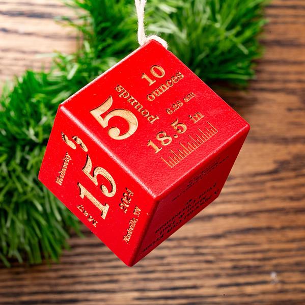 Baby Block Christmas Ornament TYPEFACE RED